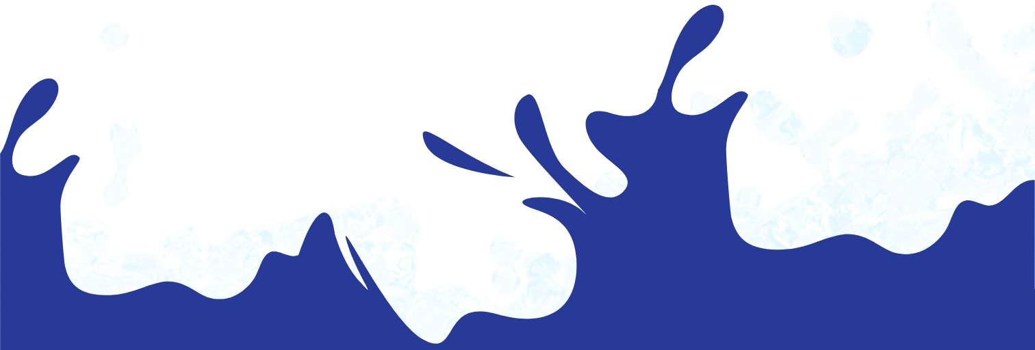 a close up of an animal